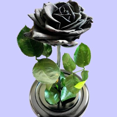 Flores Preservadas